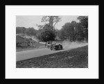 Two Wolseleys racing, Donington Park Race Meeting, Leicestershire, 1933 by Bill Brunell