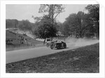 Two Wolseleys racing, Donington Park Race Meeting, Leicestershire, 1933 by Bill Brunell