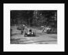 MG Magnette, Bugatti Type 37A and Alta, Donington Park Race Meeting, Leicestershire, 1935 by Bill Brunell