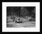 MG Magnette, Bugatti Type 37A and Alta, Donington Park Race Meeting, Leicestershire, 1935 by Bill Brunell