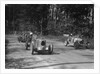 MG Magnette, Bugatti Type 37A and Alta, Donington Park Race Meeting, Leicestershire, 1935 by Bill Brunell