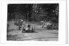 MG Magnette, Bugatti Type 37A and Alta, Donington Park Race Meeting, Leicestershire, 1935 by Bill Brunell