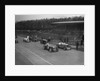 Riley Brooklands of H Hodgson and MG Magnette of H Levy, Donington Park, Leicestershire, 1935 by Bill Brunell
