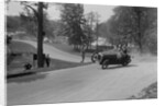 Austin 7 of B Sparrow about to crash, Donington Park Race Meeting, Leicestershire, 1933 by Bill Brunell