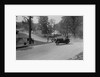 Austin 7 of B Sparrow about to crash, Donington Park Race Meeting, Leicestershire, 1933 by Bill Brunell