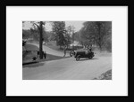 Austin 7 of B Sparrow about to crash, Donington Park Race Meeting, Leicestershire, 1933 by Bill Brunell