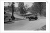 Austin 7 of B Sparrow about to crash, Donington Park Race Meeting, Leicestershire, 1933 by Bill Brunell