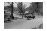 Austin 7 of B Sparrow about to crash, Donington Park Race Meeting, Leicestershire, 1933 by Bill Brunell