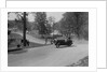 Austin 7 of B Sparrow about to crash, Donington Park Race Meeting, Leicestershire, 1933 by Bill Brunell