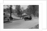 Austin 7 of B Sparrow about to crash, Donington Park Race Meeting, Leicestershire, 1933 by Bill Brunell