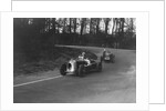 MG Magnette of AA Rigby leading JR Grice's Riley Brooklands at Donington Park, Leicestershire, 1935 by Bill Brunell