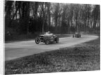MG Magnette and Frazer-Nash Byfleet II racing at Donington Park, Leicestershire, 1930s by Bill Brunell