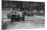 Two Riley Brooklands racing at Donington Park, Leicestershire, 1930s by Bill Brunell