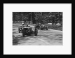 Two Riley Brooklands racing at Donington Park, Leicestershire, 1930s by Bill Brunell