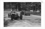 Two Riley Brooklands racing at Donington Park, Leicestershire, 1930s by Bill Brunell