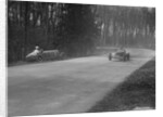 Dick Shuttleworth's Alfa Romeo passing Raymond Mays' crashed ERA, Donington Park, 1935 by Bill Brunell