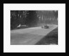 Dick Shuttleworth's Alfa Romeo passing Raymond Mays' crashed ERA, Donington Park, 1935 by Bill Brunell