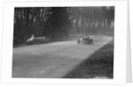 Dick Shuttleworth's Alfa Romeo passing Raymond Mays' crashed ERA, Donington Park, 1935 by Bill Brunell