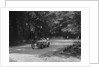 Frazer-Nash racing at Donington Park, Leicestershire, c1930s by Bill Brunell