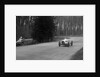 Hector Dobbs Riley Dobbs offset special passing Raymond Mays' crashed ERA, Donington Park, 1935 by Bill Brunell