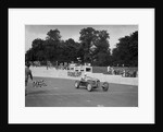Alfa Romeo of Kenneth Evans taking the chequered flag at Crystal Palace, 1939 by Bill Brunell