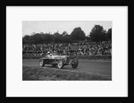 Alfa Romeo of Kenneth Evans racing at Crystal Palace, London, 1939 by Bill Brunell
