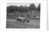 Alfa Romeo Monza of Kenneth Evans racing at Crystal Palace, London, 1939 by Bill Brunell