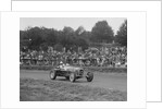 Alfa Romeo Monza of Kenneth Evans racing at Crystal Palace, London, 1939 by Bill Brunell