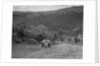 Singer 2-seater competing in the Mid Surrey AC Barnstaple Trial, Beggars Roost, Devon, 1934 by Bill Brunell