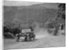 Riley 9 open 4-seater tourer at the Mid Surrey AC Barnstaple Trial, Beggars Roost, Devon, 1934 by Bill Brunell