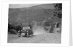 Riley 9 open 4-seater tourer at the Mid Surrey AC Barnstaple Trial, Beggars Roost, Devon, 1934 by Bill Brunell