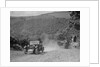 Riley 9 open 4-seater tourer at the Mid Surrey AC Barnstaple Trial, Beggars Roost, Devon, 1934 by Bill Brunell