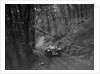 Riley Lynx competing in the Mid Surrey AC Barnstaple Trial, 1934 by Bill Brunell