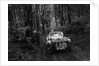Singer Le Mans competing in the Mid Surrey AC Barnstaple Trial, 1934 by Bill Brunell