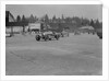Two Bugatti Type 37s and an MG racing at Brooklands, Surrey, 1930s by Bill Brunell