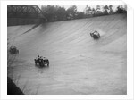 Austin 7 and the spinning Riley of HL Roberts, BARC Mountain Race, Brooklands, Surrey, 1931 by Bill Brunell