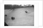 Austin 7 and the spinning Riley of HL Roberts, BARC Mountain Race, Brooklands, Surrey, 1931 by Bill Brunell