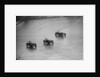 Two Austin 7s and an unidentified car racing at a BARC meeting, Brooklands, Surrey, 1931 by Bill Brunell