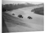 Bentleys of Eddie Hall and RO Williams and a Bugatti, BARC meeting, Brooklands, Surrey, 1931 by Bill Brunell