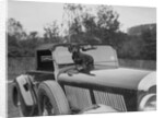 Dachshund sitting on the bonnet of Charles Mortimer's Bentley, c1930s by Bill Brunell