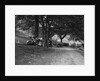 Wolseley Hornet and Morris Minor taking part in a motoring trial, c1930s by Bill Brunell