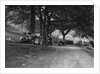 Wolseley Hornet and Morris Minor taking part in a motoring trial, c1930s by Bill Brunell