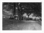 Wolseley Hornet and Morris Minor taking part in a motoring trial, c1930s by Bill Brunell