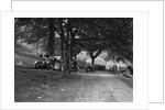Wolseley Hornet and Morris Minor taking part in a motoring trial, c1930s by Bill Brunell