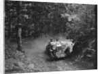 Salmson taking part in a motoring trial, c1930s by Bill Brunell