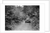 BSA car taking part in a motoring trial, c1930s by Bill Brunell