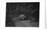Wolseley Hornet of ARC Rigby taking part in a motoring trial, c1930s by Bill Brunell