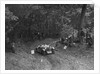 Riley Lynx taking part in a motoring trial, c1930s by Bill Brunell