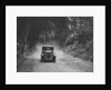 Riley taking part in a motoring trial, c1930s by Bill Brunell