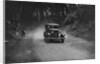 Standard taking part in a motoring trial, c1930s by Bill Brunell